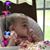 Iris St Germain Hall's profile image
