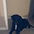 Judy Sodervick's profile image