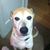 Kathy Snyder's profile image
