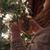 Sandra Attaway Thompson's profile image