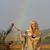 Susan Levine's profile image