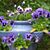 Linda Buyer's profile image