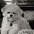 Shelly Rae Broten's profile image