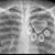 Rachel Fraga Watson's profile image