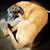 Kimberly Brown-Azzarello's profile image