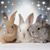 Martie Lewars's profile image