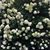Ann Pedersen's profile image
