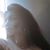 Sandy MacMahon Bennett's profile image