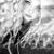 Allison Eigenbrod's profile image