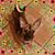 Linda S. Carr's profile image