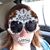 Trina Toshach's profile image