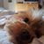 Penny Simpson's profile image
