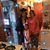 Sylvia Polvon Valdez's profile image