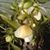 Pamela Briggs's profile image