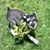 Judy Iovanna Jackson's profile image