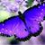 Jo Riley's profile image