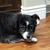 Kathy Hysell Porter's profile image