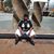 Tiffany Gilmer-Solitaire's profile image