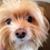 Denise Owen's profile image