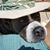 Richard Barbara Green's profile image