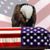 Steve Seed's profile image