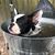 Mary Ann Black's profile image