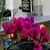 Sheri Hain's profile image