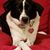 Hollyn Thielman Thompson's profile image