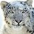 Matt Glaser's profile image