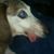 Terrie Mapes's profile image