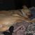 Cari Ann Streeter's profile image