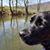 Sara Bark's profile image