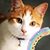 Sue Hazen Smallacombe's profile image