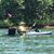 Karl M. Lastinger's profile image