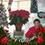 Norma Martinez's profile image