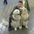 Wendy Summerton Silveira's profile image
