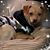 Katherine Lind's profile image