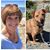 Jill Sheppard Loftus's profile image
