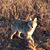 Jeffery Mitten's profile image