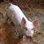 Karen Wilson's profile image