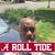Steele Alabama Williams's profile image