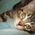 Barbara Endersen's profile image
