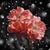 Denise Fish's profile image