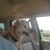 R. Ben Bordeaux's profile image