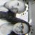 Gabbie Huckaby's profile image