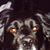 Kimberly Ann Blankenbaker Green's profile image