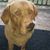 Cathy Caffery's profile image