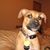 Tim Pascoal's profile image