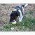 Nina Waldron's profile image