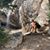 Suzana Gligoric's profile image